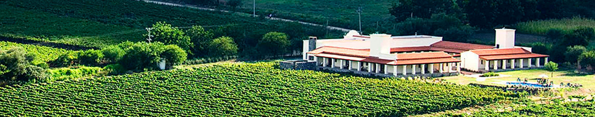 Wine Resort 